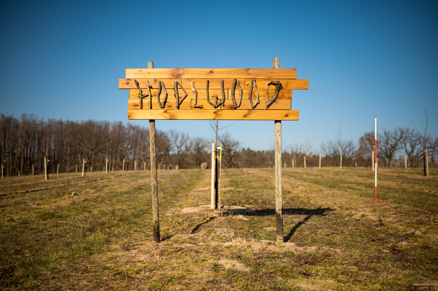 HODLWOOD Biotop anlegen