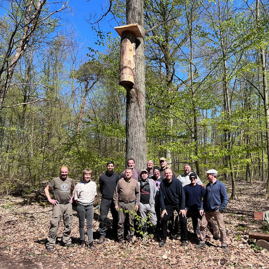 Mitarbeiter-Erlebnis Event: Baumhöhle für Honigbienen bauen (1 Tag)