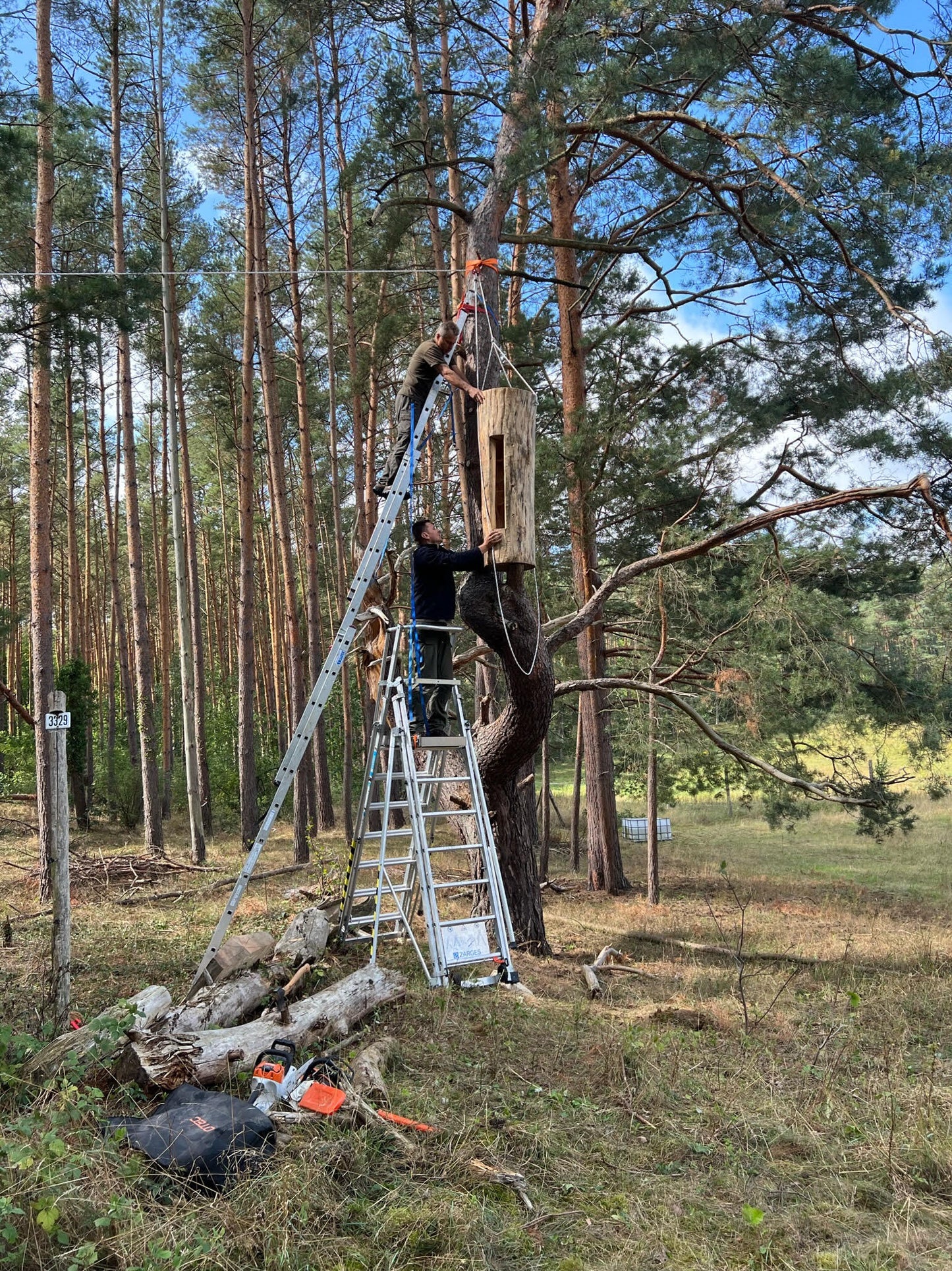 Baumhöhlen für Honigbienen Workshop (2,5 Tage)