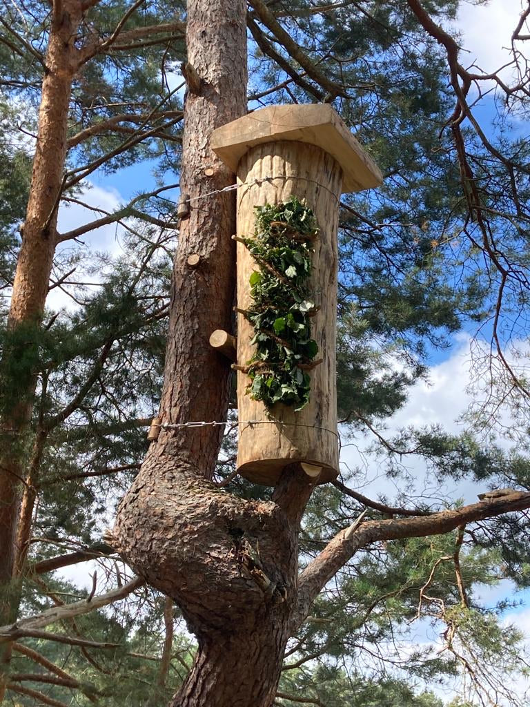 Baumhöhlen für Honigbienen Workshop (2,5 Tage)